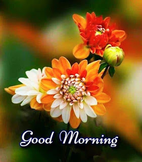 Good Morning Wishes 2020