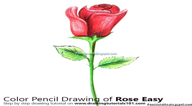 Pencil Drawing Images For Flowers