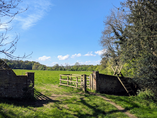 Go through the gate to continue on Sacombe footpath 18