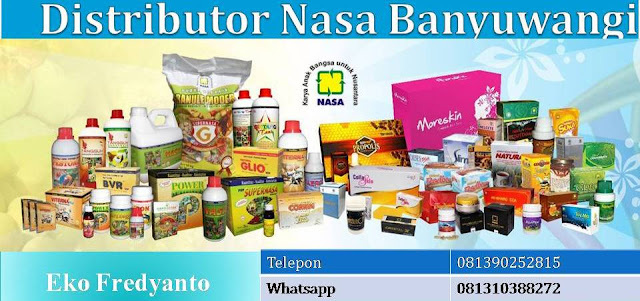 http://www.produknaturalnusantara.com/distributor-nasa-banyuwangi-jawa-timur/