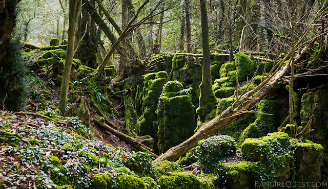 Puzzlewood Forest - England