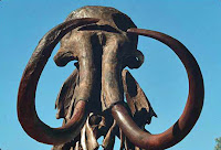 Mammoth