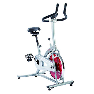 Sunny Health & Fitness SF-B1203 Indoor Cycle Trainer Spin Bike, image, review features & specifications