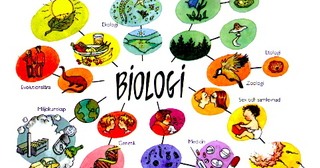 Latihan Soal dan Jawaban Cabang cabang Biologi GURU  BIOLOGI