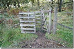 Walls and gates--Hill top walk