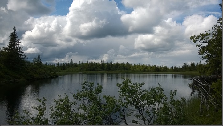 WP_20150720_039