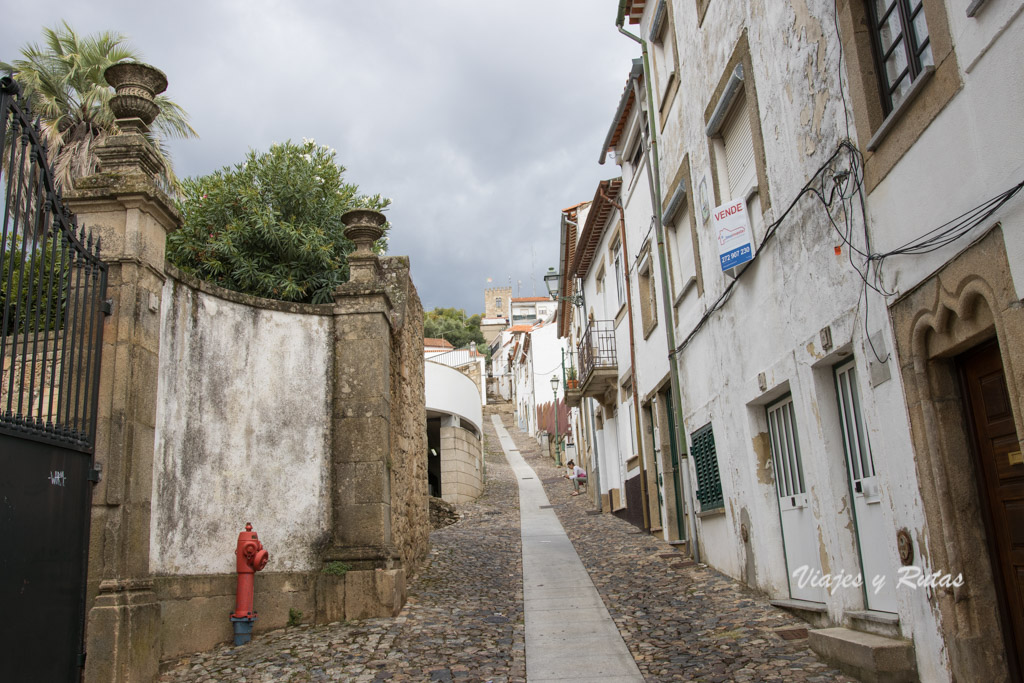 Rua Nova de Castelo Branco