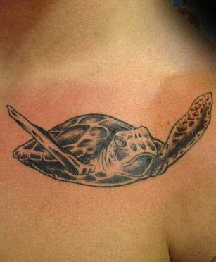 Turtle Tattoos