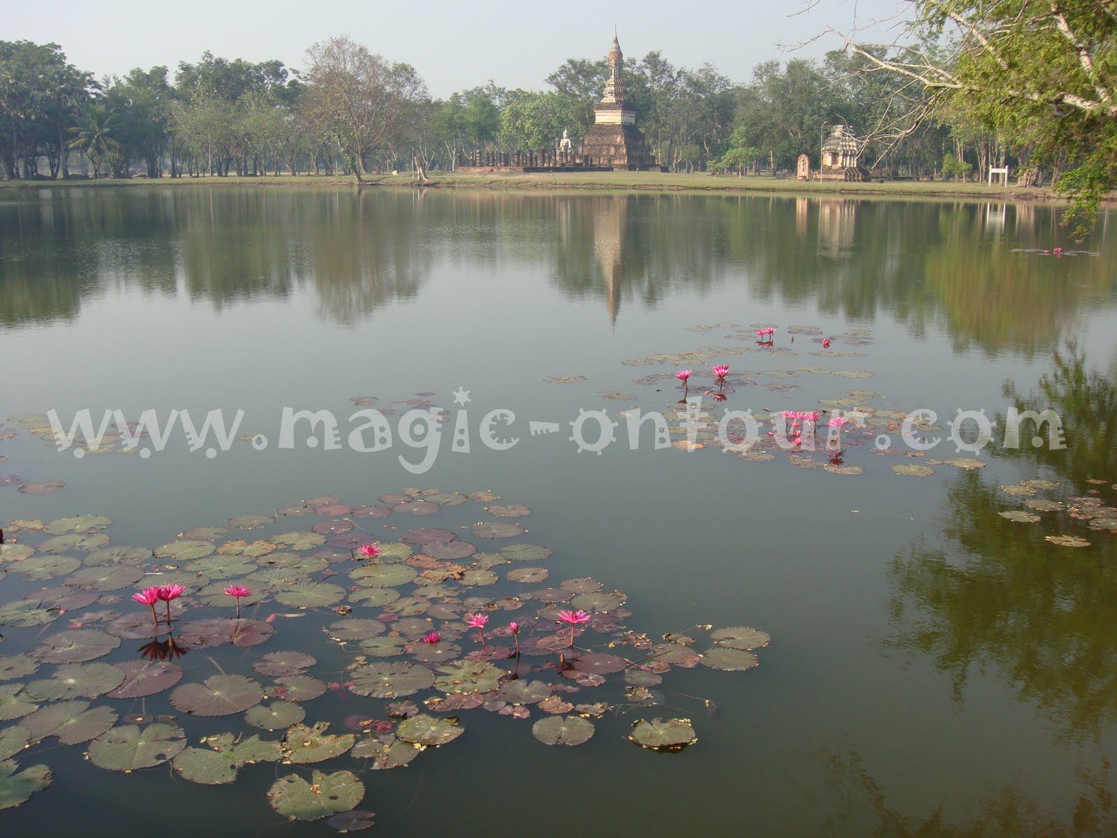 photo magic on tours