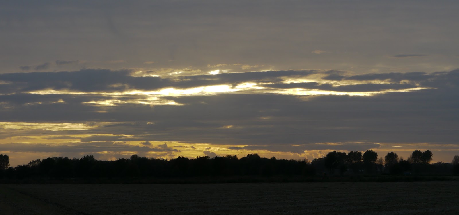 P1000745.JPG