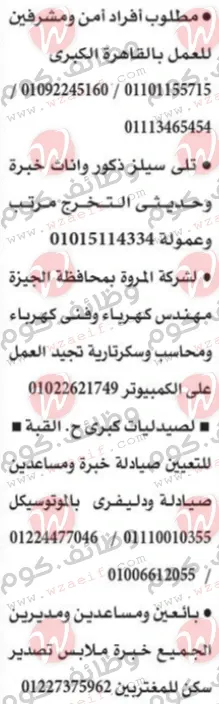 وظائف مبوبة اهرام الجمعة الاسبوعى الموافق 21-10-2022 | وظائف دوت كوم مصر