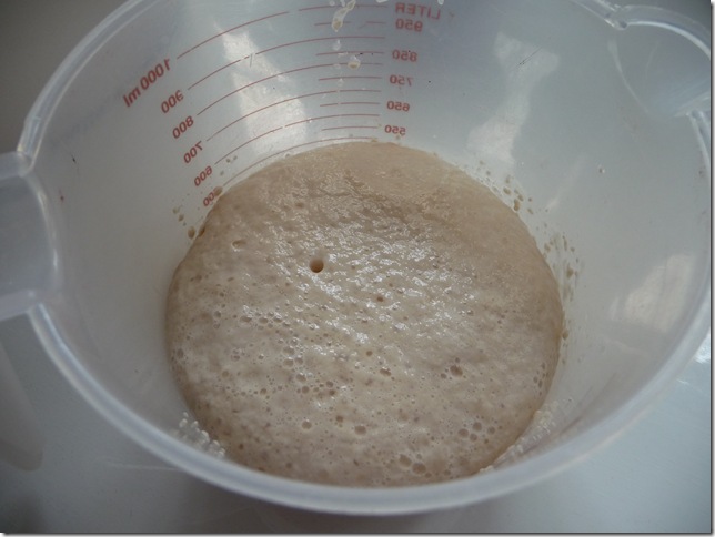 foamy yeast