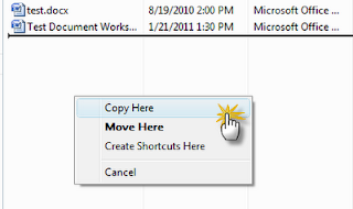 Choose 'Copy Here' not 'Move Here.'