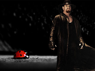 WWE Undertaker Wallpaper