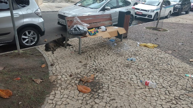 Cão valente continua causando transtornos na Rua Fonte do Boi   