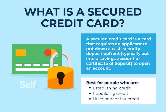  Secured credit infoz by punjab