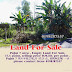 Pujut 7 Miri Empty Land For Sale