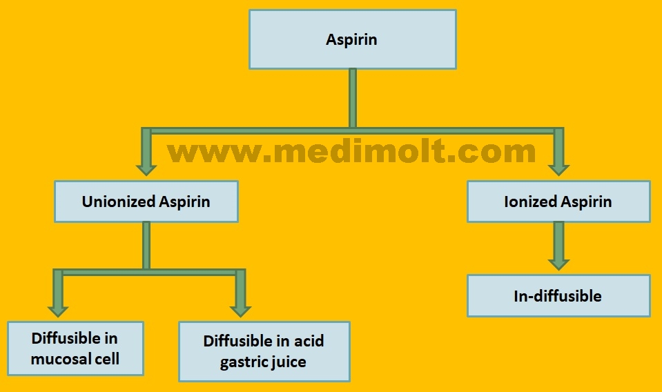 What is Non Steroidal Anti Inflammatory Drugs pathology of Inflammation