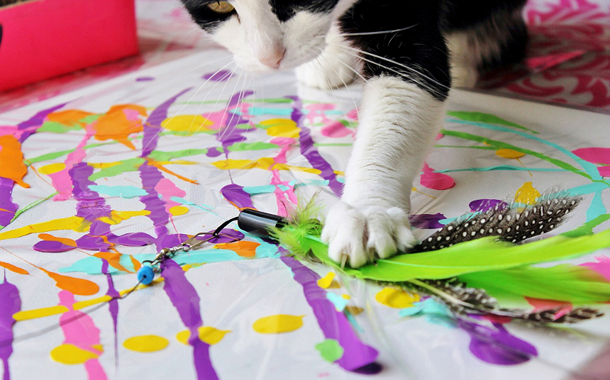 Cat Painting- This SIMPLE and fun art project can be done with your cat! Discover #JacksonGalaxyCatPlay by Petmate toys and enrichment tools at PetSmart and unleash your cat's inner Mojito! Foster a cat's natural instincts to hunt, catch, and kill with these colorful and engaging cat toys! #Sponsored