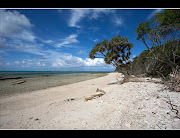 Lady Musgrave Island 40 campers (lady musgrave island )