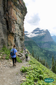 highline trail, glacier national park montana family vacation hiking trip kids outdoors mountains wildlife beauty