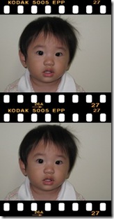 passport photo