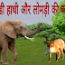 चालाक लोमड़ी और हाथी की कहानी | The Fox and Elephant story in hindi 