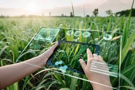 Precision farming, Smart irrigation, Robotic automation, Crop monitoring, Supply chain optimization