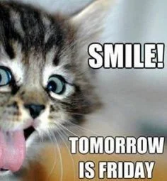 Crazy cat: SMILE! Tomorrow is Friday Meme.