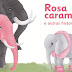 👪 TEATRO INFANTIL Rosa caramelo e outras historias | 12h30 S.García | 23nov