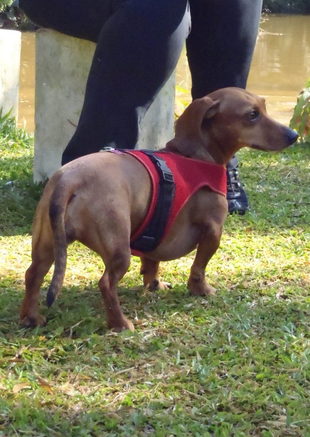 Trekking 3 (6)