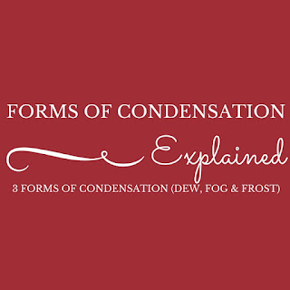 3 Forms Of Condensation (Dew, Fog And Frost)