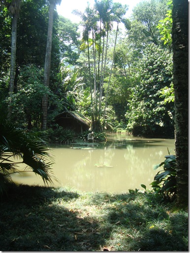 DSC06311