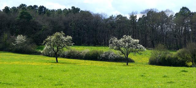 Photograph Susan Walter. Tour the Loire Valley with a classic car and a private guide.