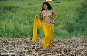 Taapsee%2BPannu%2BLatest%2B%252813%2529