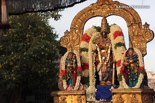 Vaigasi Masa Pravesam, Vaigasi,Upadesa RathinaMalai, ManavalaMaamunigal,Nammazhwar Purappadu,Video, Divya Prabhandam,Sri Parthasarathy Perumal, Triplicane,   Thiruvallikeni, Utsavam