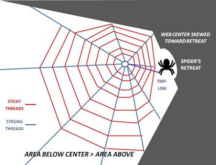 Orb Web1