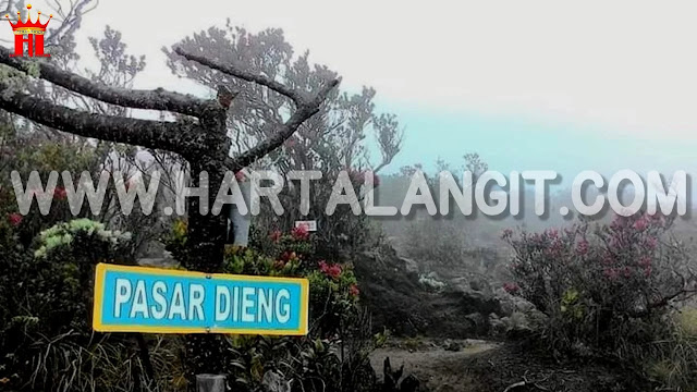 foto pasar dieng / pasar setan gunung lawu