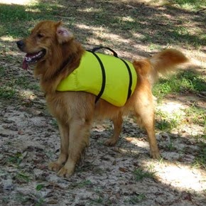 Pet´s 23 (7_1) (2)
