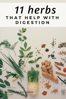 11 herbs that help digestion