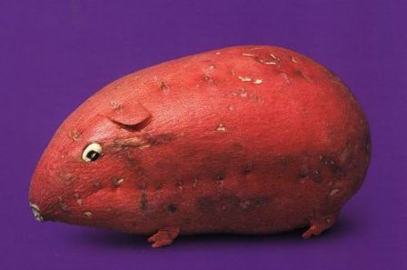 Animal fruit and vegetable sculpture