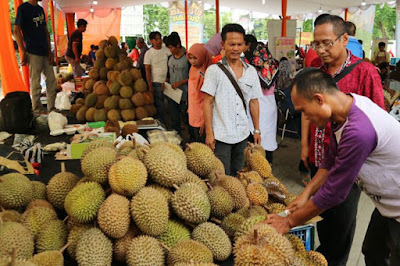 Yuk ke Festival Wisata Durian Bogor