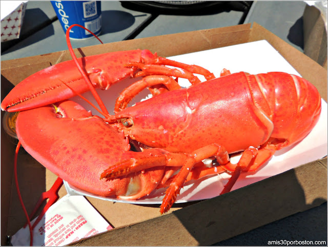 Langosta en el Fox´s Lobster House al lado de Nubble Lighthouse