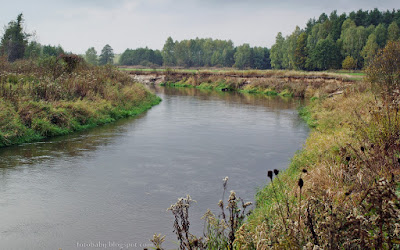 http://fotobabij.blogspot.com/2015/10/tanew-w-okolicach-budziarzy.html