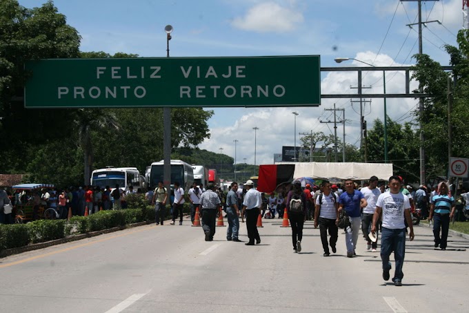 ESTADOS/ Profepa suspende tala de árboles en comunidades de Guerrero