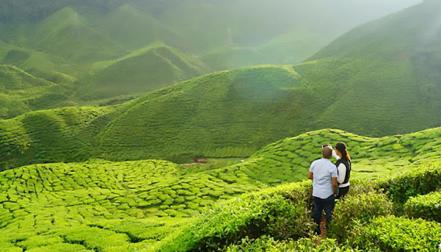 Kerala Tour Packages for Family