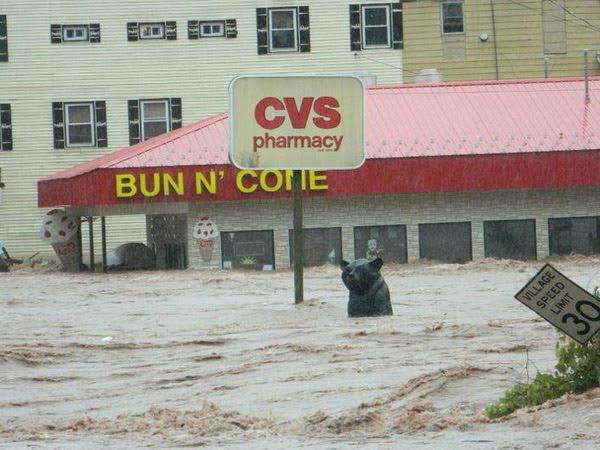 Hurricane Irene Destruction in America