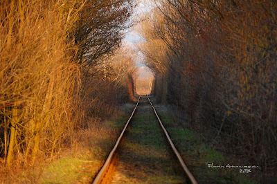 The Love Tunnel Túnel del Amor Tunelul Dragostei Rumanía