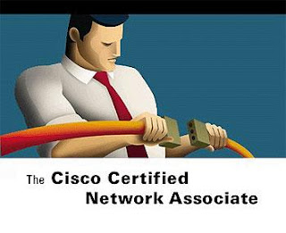 Подготовка к Cisco CCNA. Специализированные курсы или самоподготовка?