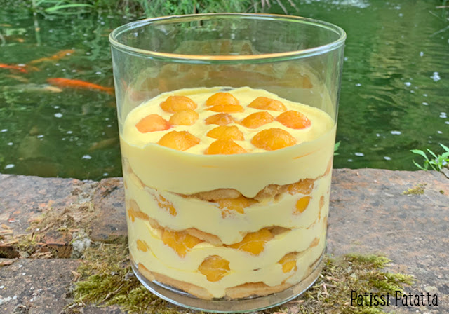 Recette de tiramisu aux nectarines, nectarines en dessert, dessert aux nectarines, dessert sans cuisson, crème tiramisu, crème mascarpone, tiramisu autrement, tiramisu aux fruits, dessert maison, pâtisserie, patissi-patatta.